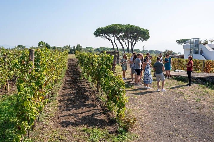 Pompeji und Neapel ab Rom: Private Ganztagestour mit Mittagessen — Foto 4