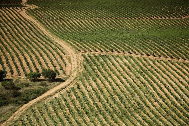 Premium Kleingruppentour Rioja Uncorked ab San Sebastian — Foto 2