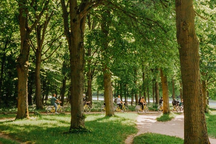 Fahrradtour nach Versailles mit Palastzugang von Paris — Foto 5