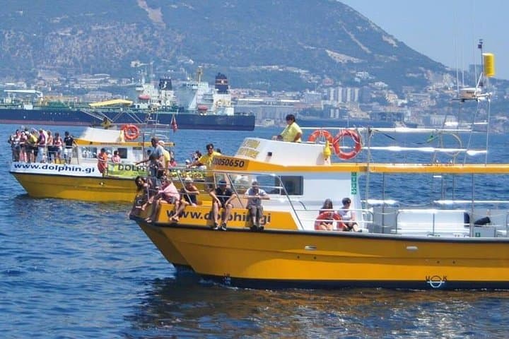 Gibraltar und Delfinbeobachtungsausflug von Malaga — Foto 3