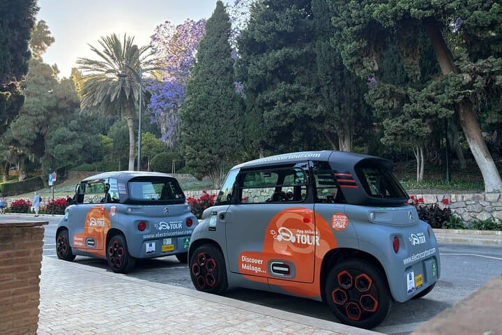 Elektroauto-Tour zur Schatzhöhle in Málaga — Foto 5