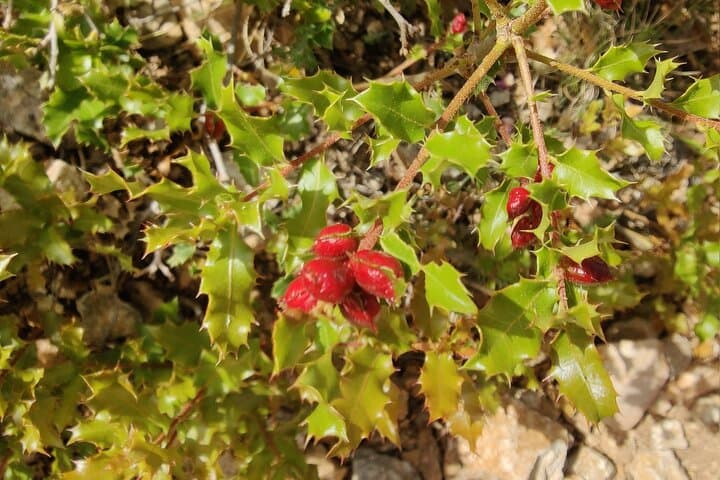 Escursione e Yoga nella Calanque di Sormiou — foto 4