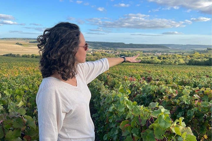 Sancerre Wein Tag von Paris mit Verkostungen und Mittagessen