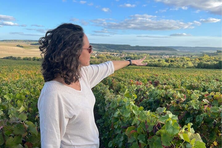 Journée du vin de Sancerre depuis Paris avec dégustations et déjeuner — photo 1