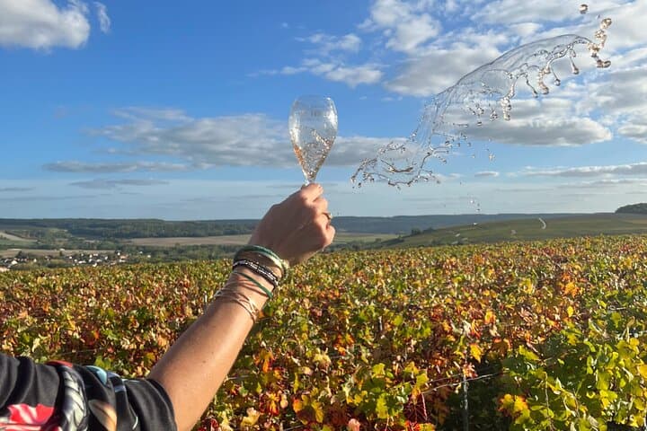 Journée du vin de Sancerre depuis Paris avec dégustations et déjeuner — photo 5