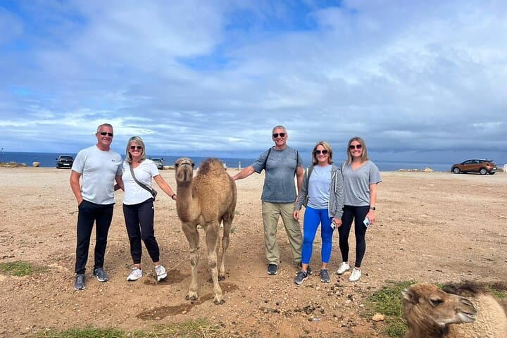 Tour Privado VIP Guiado a Tánger Desde Málaga / Marbella o Tarifa — foto 2