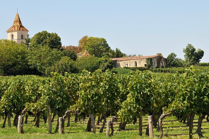 Halbtägige Weinprobe in Bordeaux
