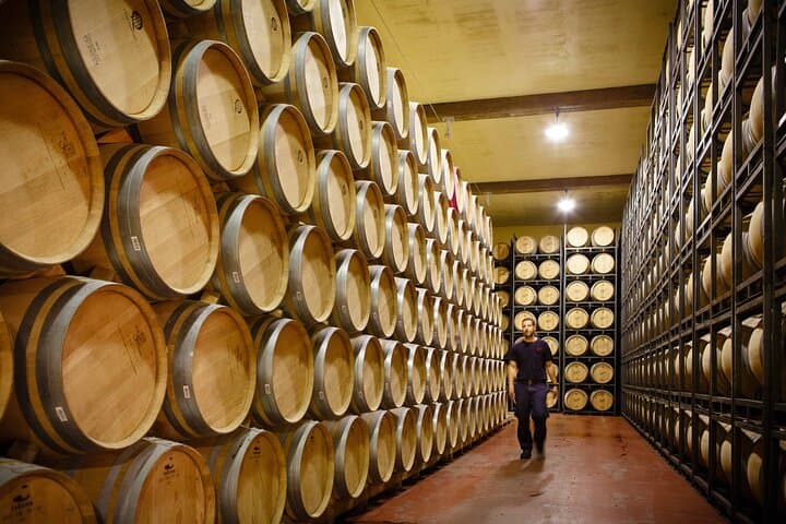 Private Tour nach La Rioja: Besuch von 2 Premium-Weingütern mit Mittagessen — Foto 5