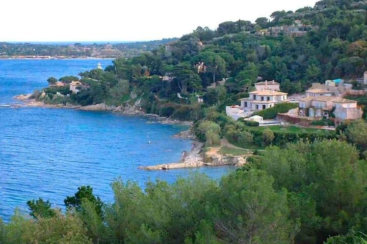 Tour di un giorno in piccoli gruppi a St Tropez e Port Grimaud da Nizza — foto 3