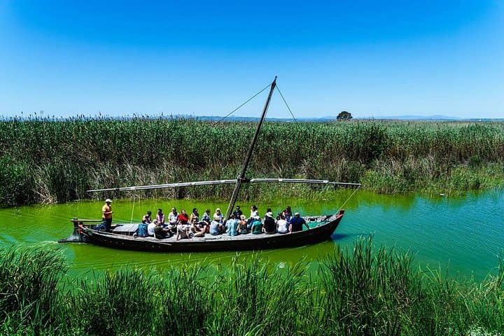 Excursion Privée à Albufera : Paella, Croisière en Bateau et Randonnée Nature — photo 4