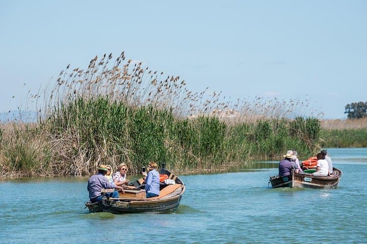 Excursion Privée à Albufera : Paella, Croisière en Bateau et Randonnée Nature