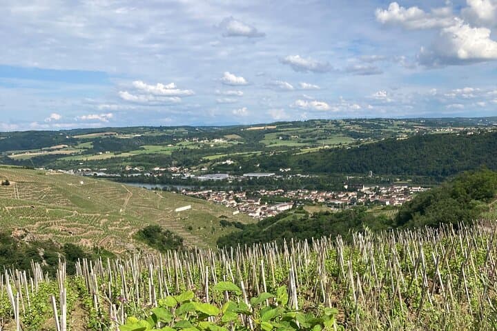 Besuch und Aperitif der Hügel zwischen Côte Rôtie und Condrieu — Foto 3