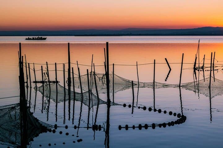 Tour in barca al tramonto nel Parco Naturale dell'Albufera da Valencia — foto 4
