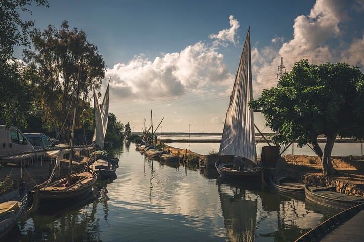 Tour in barca al tramonto nel Parco Naturale dell'Albufera da Valencia — foto 3