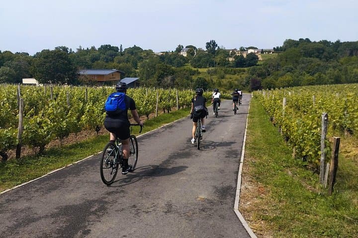 Tour en bicicleta de grava por los monumentos, viñedos y bodegas de Burdeos