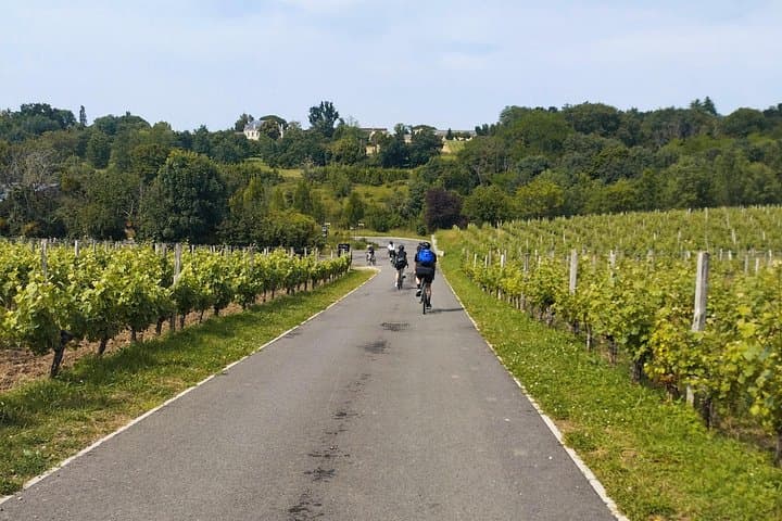 Tour en bicicleta de grava por los monumentos, viñedos y bodegas de Burdeos — foto 5