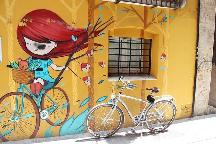 Tour in Bicicletta del Street Art di Valencia in Piccolo Gruppo