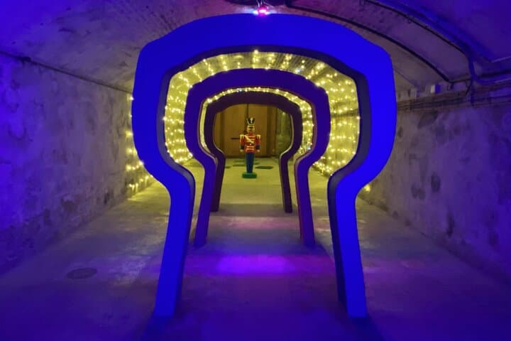 Tour privato di degustazione di Champagne Taittinger e Pommery da Parigi — foto 5