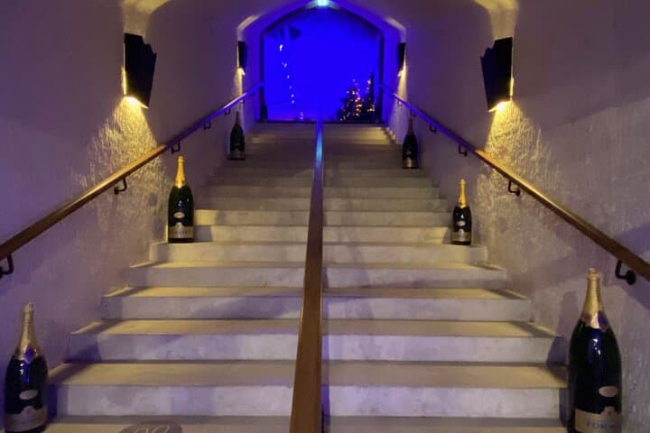 Tour privato di degustazione di Champagne Taittinger e Pommery da Parigi — foto 4