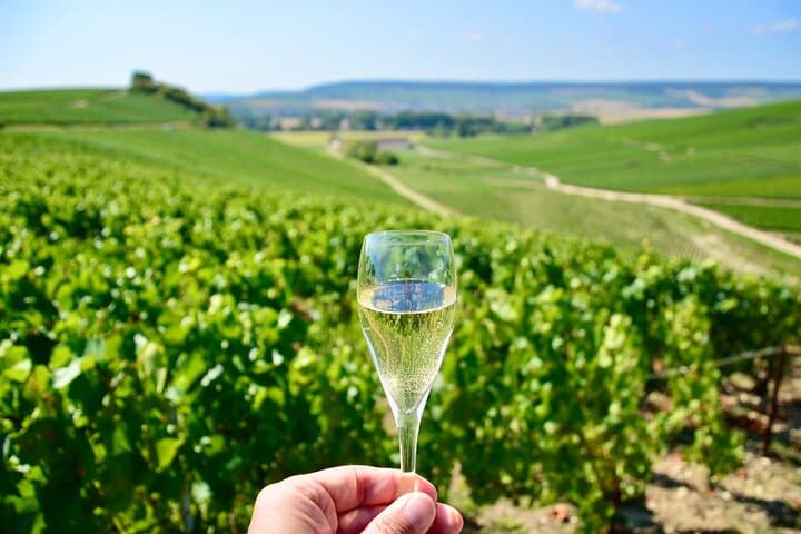 Champagner-Weinberge & Keller Tour mit Sommelier ab Paris — Foto 2