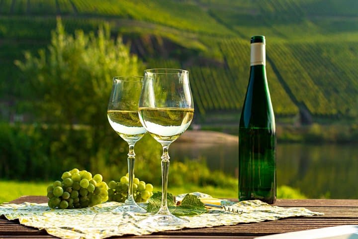 Tour Privato del Vino nella Regione Vinicola del Pfalz