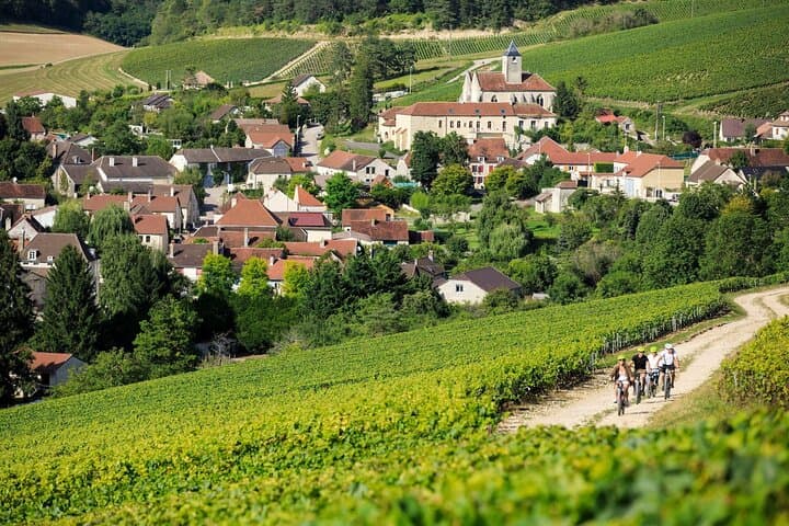 Excursion privée d'une demi-journée à Moet et Chandon Champagne depuis Paris — photo 3