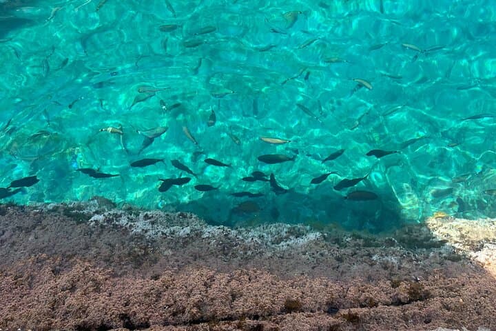 Excursión de Paddle Surf en Cala Salada, Punta Galera y Cala Saladeta — foto 4