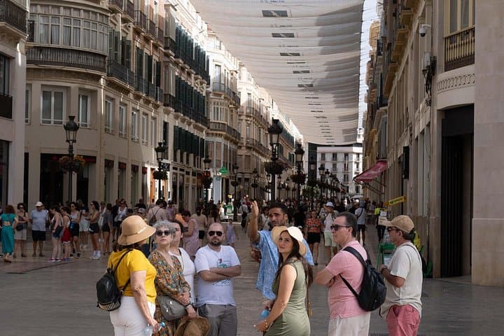 Visite Privée de Malaga, Théâtre Romain, Alcazaba avec Billets Inclus — photo 4