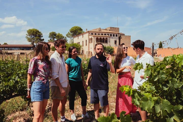 Premium Montserrat & Wein Ganztagestour ab Barcelona — Foto 3