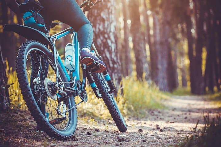 Paseo Privado en Bici Eléctrica de Montaña en Annecy — foto 2