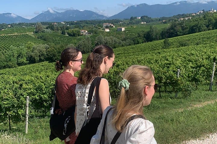 All-inclusive Private Prosecco Hills Tour - 2 Weingüter und Mittagessen — Foto 5