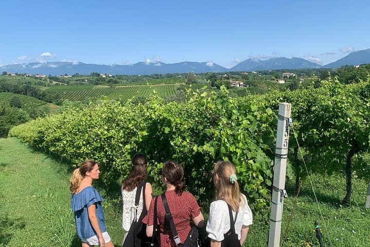 All-inclusive Private Prosecco Hills Tour - 2 Weingüter und Mittagessen
