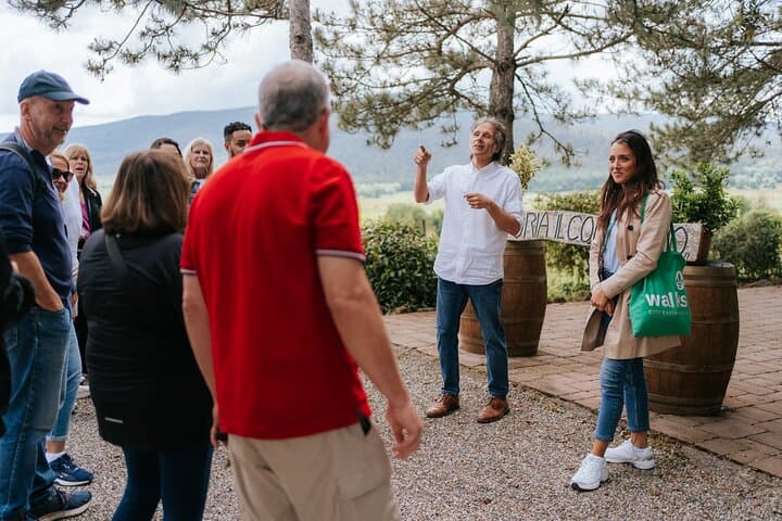 Tagesausflug Florenz: Chianti-Weinprobe, Siena, San Gimignano — Foto 2