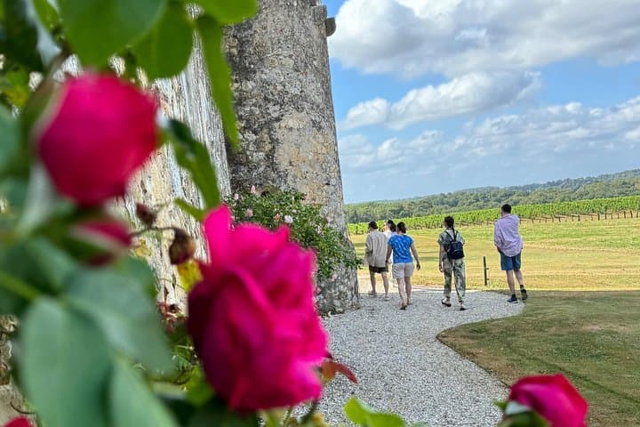 Tour in E-Bike di Mezza Giornata a Entre-Deux-Mers con Degustazione di Vini e Pranzo — foto 3