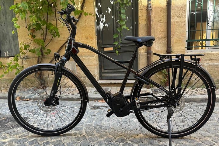 Tour in E-Bike di Mezza Giornata a Entre-Deux-Mers con Degustazione di Vini e Pranzo — foto 4