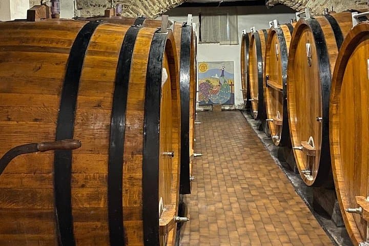Tour privado: descubre los vinos de Langhe con un sommelier experto — foto 3