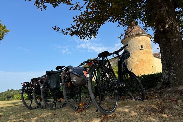 Tour in E-Bike di Mezza Giornata a Entre-Deux-Mers con Degustazione di Vini e Pranzo — foto 5