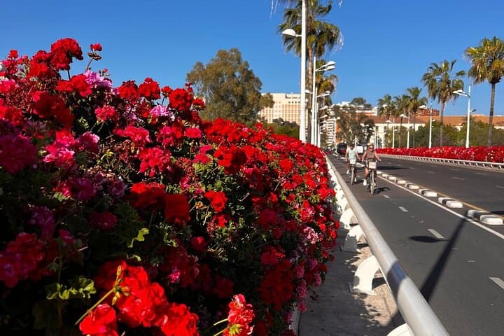 Tour Privato a Piedi del Centro Storico di Valencia — foto 3
