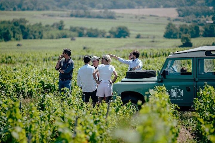 Tour privato di mezza giornata in Borgogna da Lione — foto 4