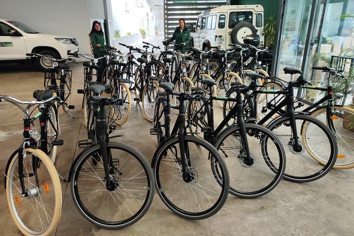 Noleggio biciclette nel centro di Siviglia