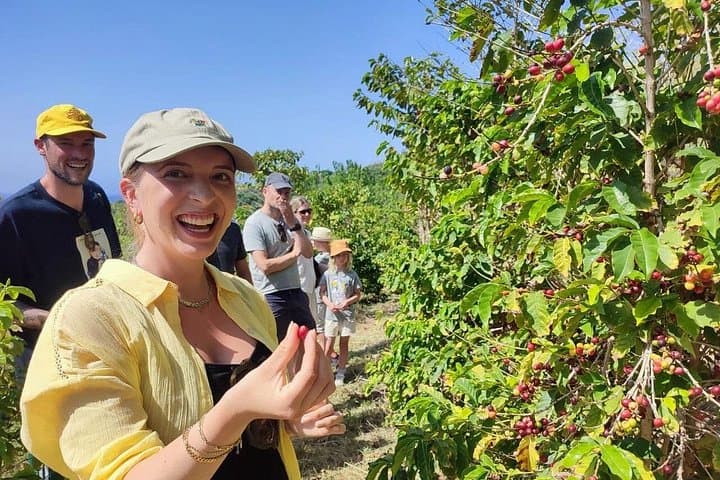 Geführte Tour zur einzigen Kaffeefarm in Europa