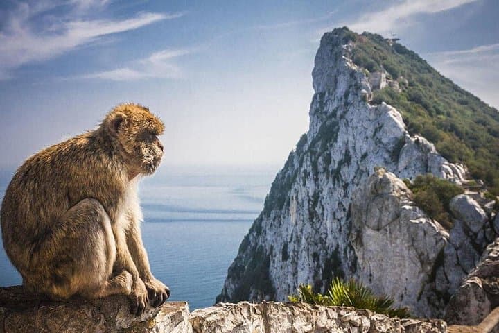 Excursión guiada desde Sevilla descubriendo Gibraltar