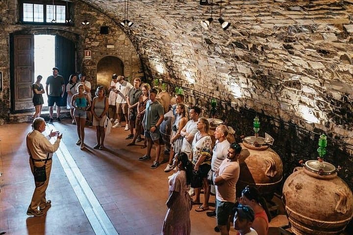 Toskanische Weingüter, Olivenöl & Gourmet Mittag- oder Abendessen ab Florenz