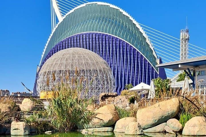 Tour en Segway por la Ciudad de las Artes y las Ciencias — foto 5