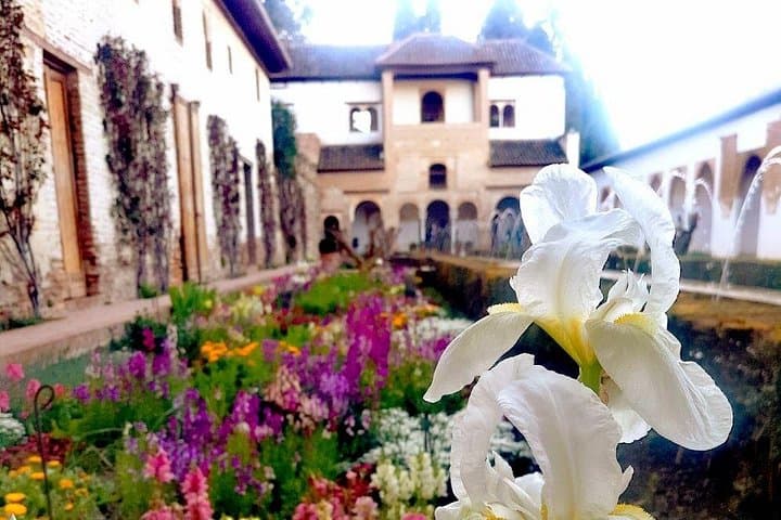 Tour Privado de la Alhambra con Entradas a los Palacios Nazaríes — foto 4