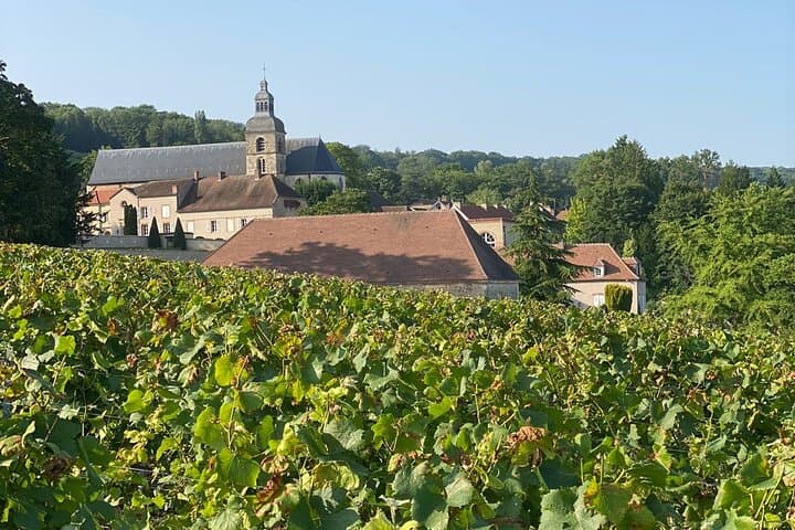 Champagner-Weinberge & Keller Tour mit Sommelier ab Paris — Foto 4