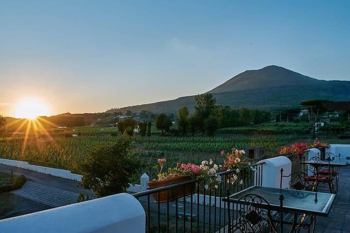 Pompeii-Tour, Mittagessen und Weinprobe am Vesuv — Foto 4