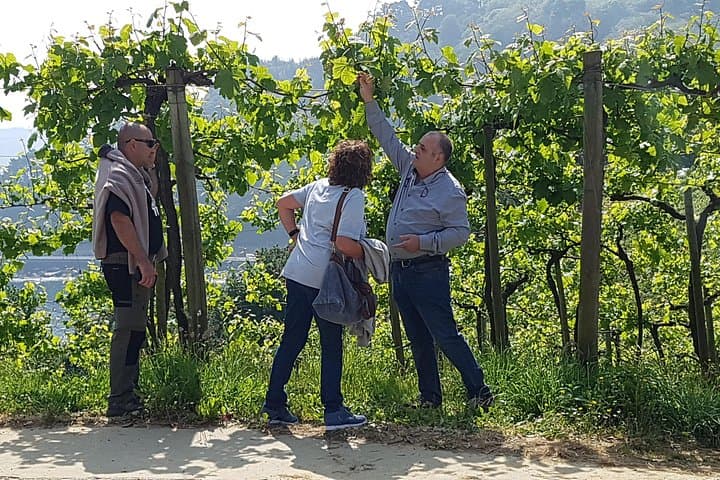 Visite de demi-journée des vins de Txakoli et de Getaria — photo 3