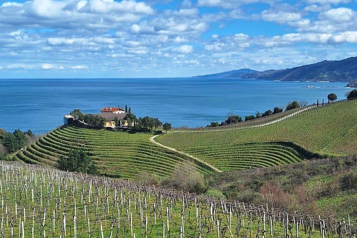 Visite de demi-journée des vins de Txakoli et de Getaria
