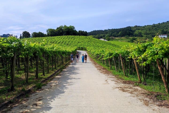 Visite de demi-journée des vins de Txakoli et de Getaria — photo 2